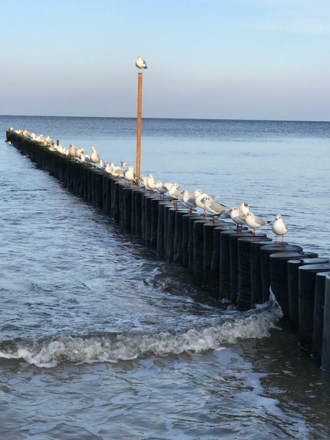 Apartament „Nova Polana” Kołobrzeg Polanki Park Bagian luar foto